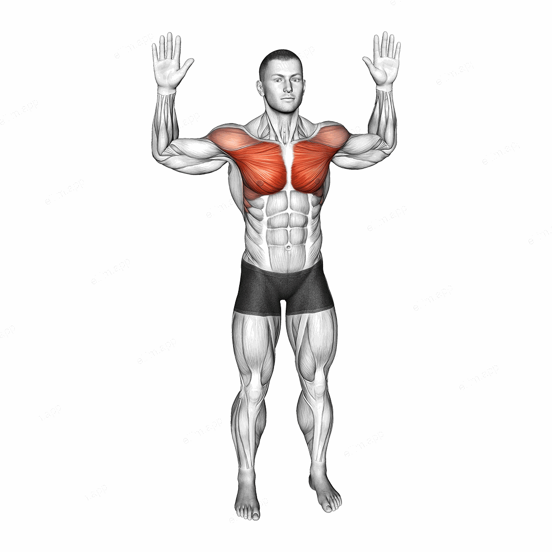 Bodyweight Standing Fly exercise targeting Chest and Pectoralis Major Clavicular Head