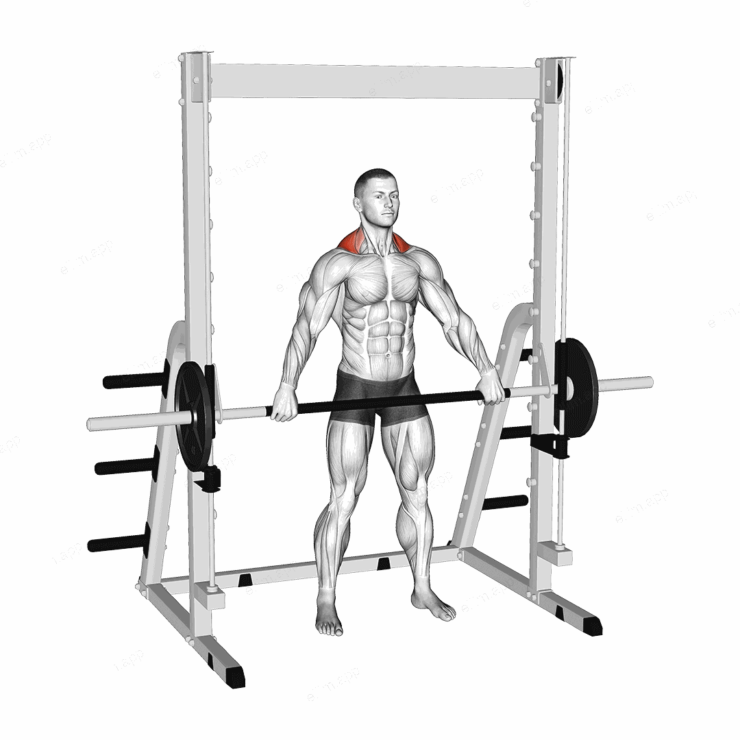 Smith Wide Shrug exercise targeting Back and Trapezius Upper Fibers