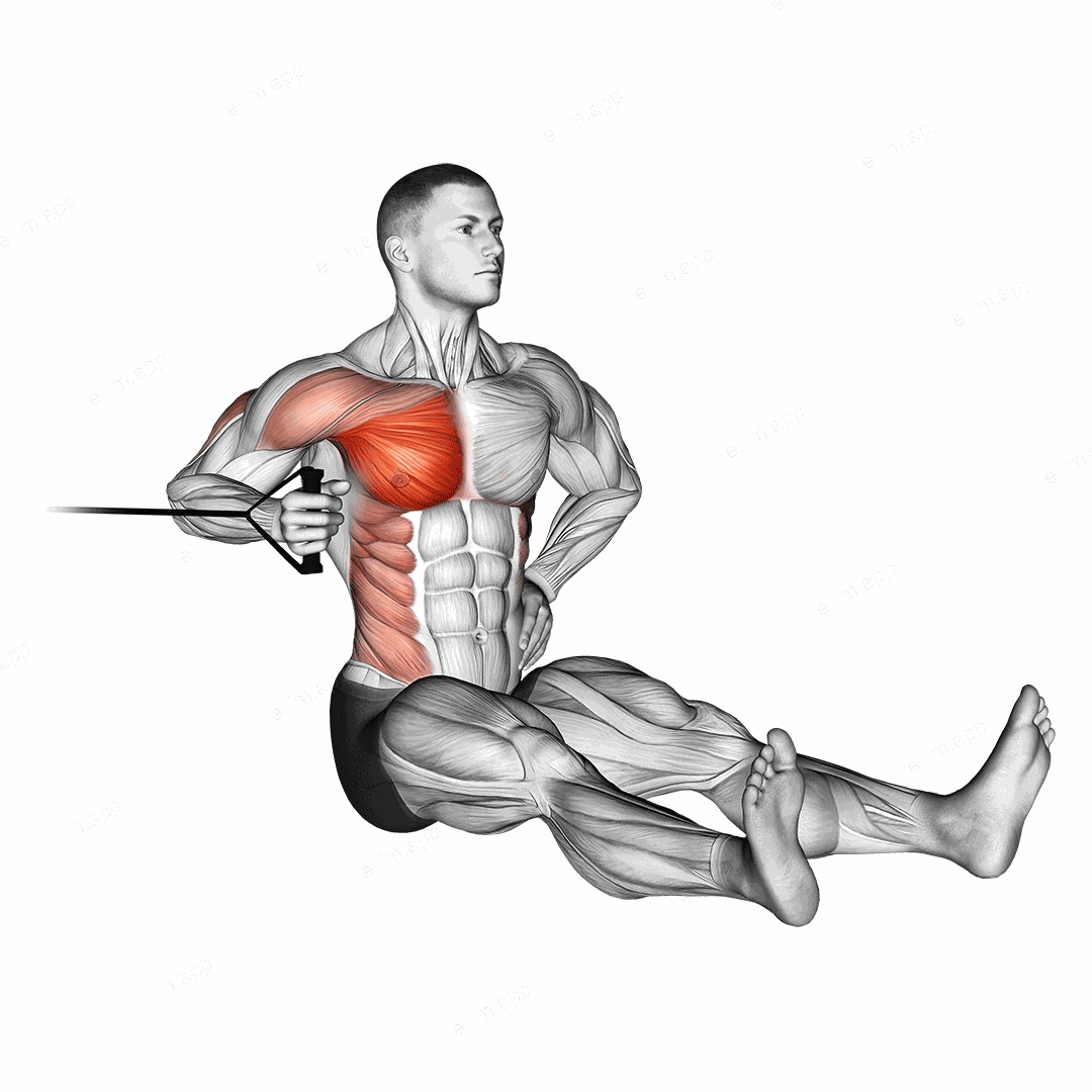 Band one arm twisting chest press exercise targeting Chest and Pectoralis Major Sternal Head