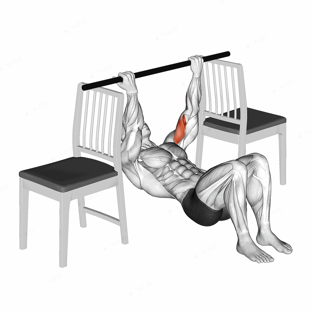 Inverted Chin Curl with Bent Knee between Chairs exercise targeting Upper Arms and Biceps Brachii