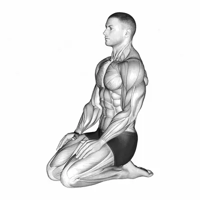 Seated Ankle Stretch exercise targeting Calves and Tibialis Anterior