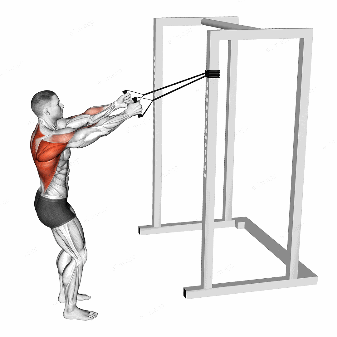 Band Narrow Grip High Row exercise targeting Back and Infraspinatus