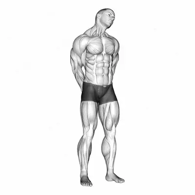 Extension And Inclination Neck Stretch exercise targeting Neck