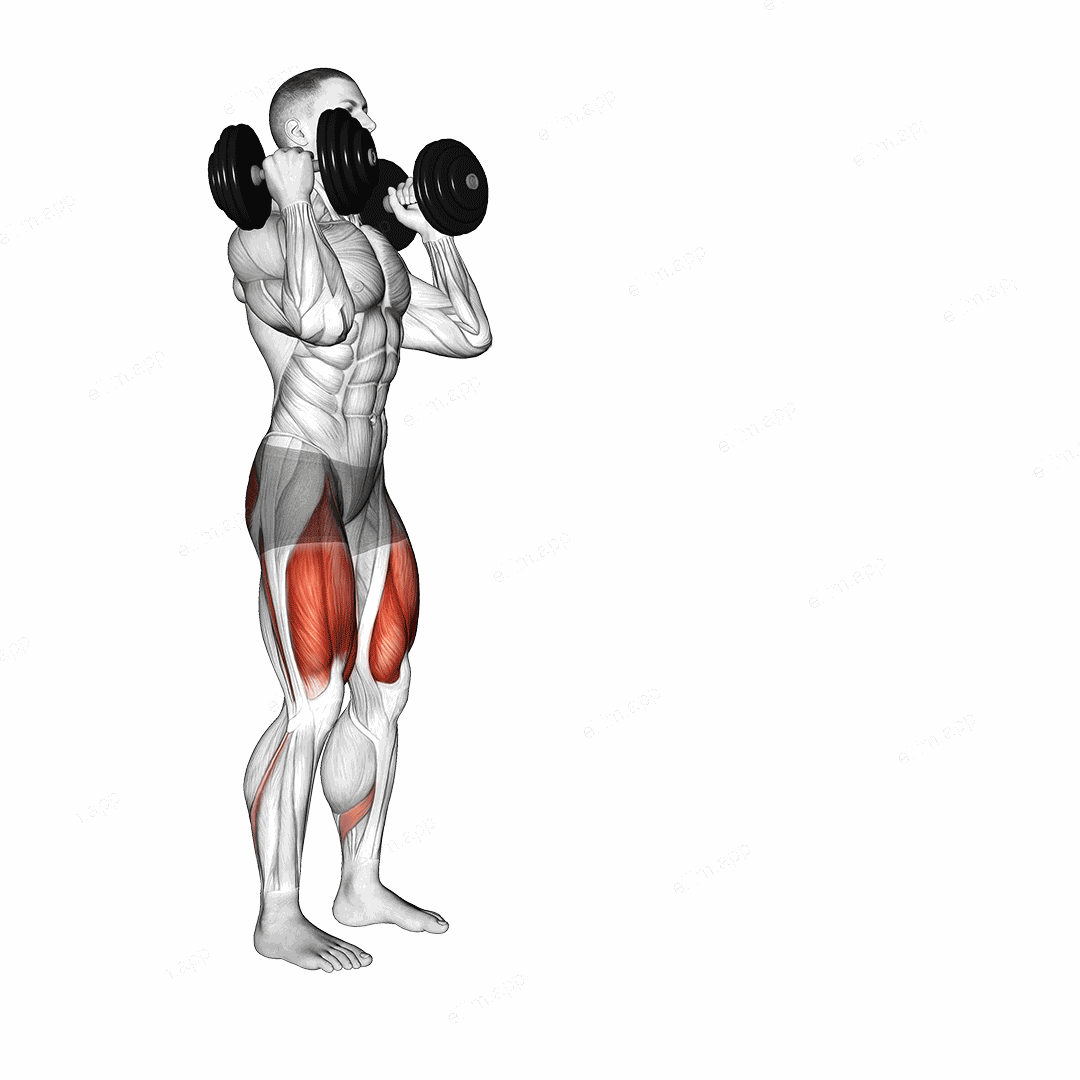 Dumbbell Front Rack Lunge exercise targeting Thighs and Gluteus Maximus