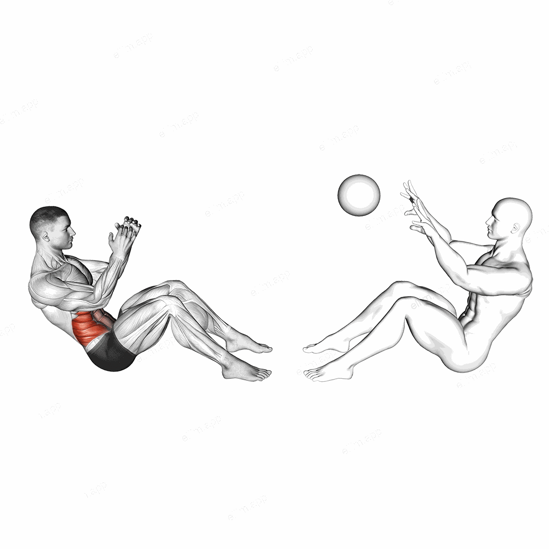 Assisted Motion Russian Twist exercise targeting Waist and Obliques