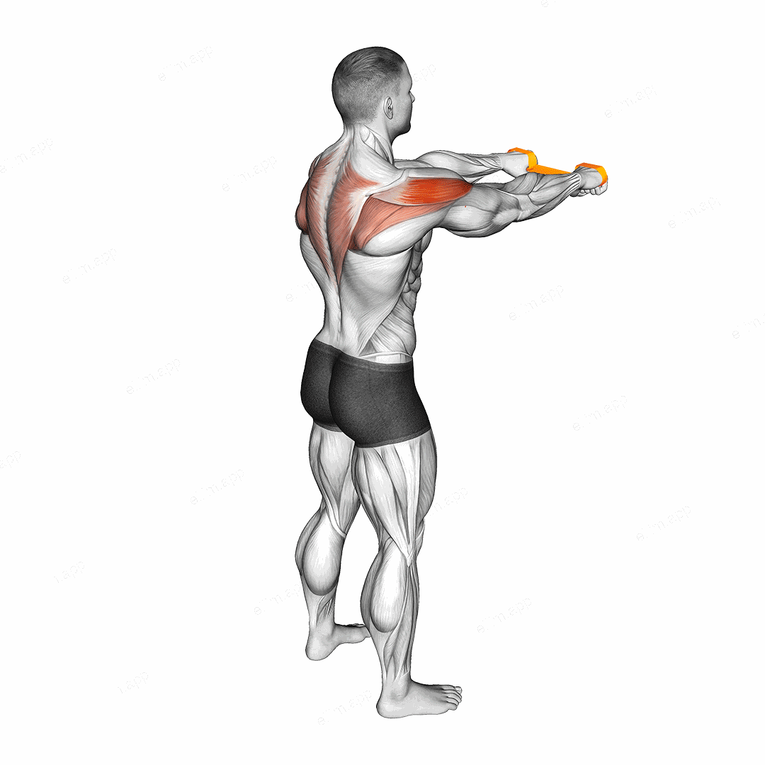 Resistance Band Pull Apart exercise targeting Shoulders and Deltoid Posterior