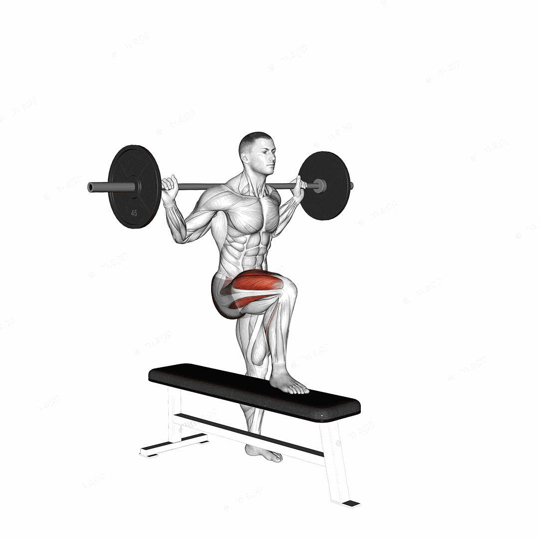 Barbell Bench Lateral Step-up exercise targeting Thighs