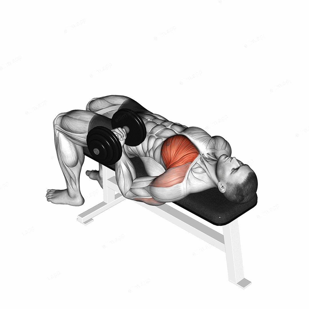 Dumbbell Lying One Arm Press exercise targeting Chest and Pectoralis Major Clavicular Head