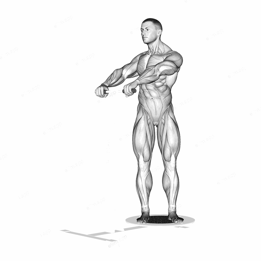 Lever Twist exercise targeting Waist and Obliques