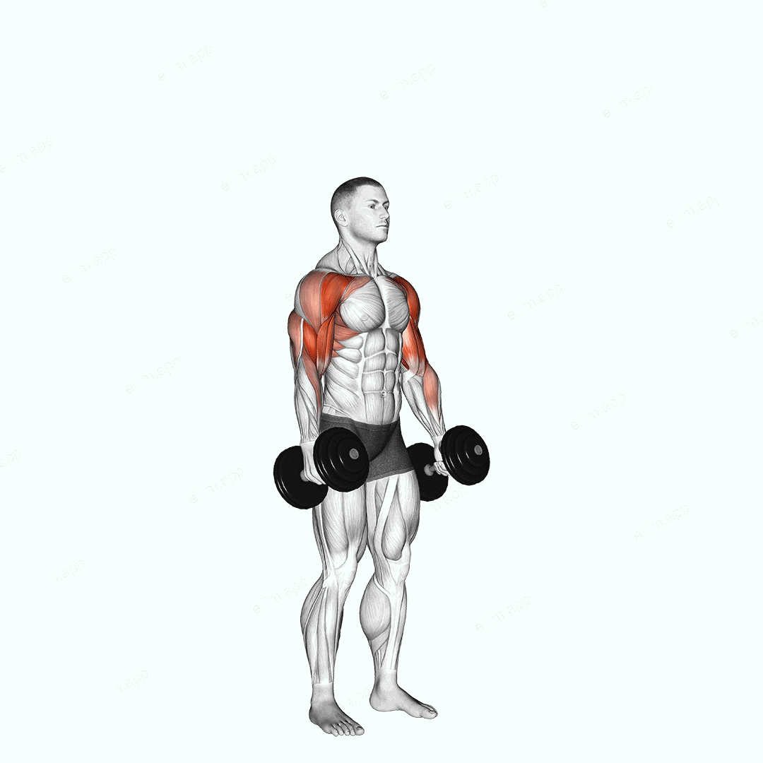 Dumbbell Standing Alternate Hammer Curl and Press exercise targeting Biceps Brachii and Brachialis