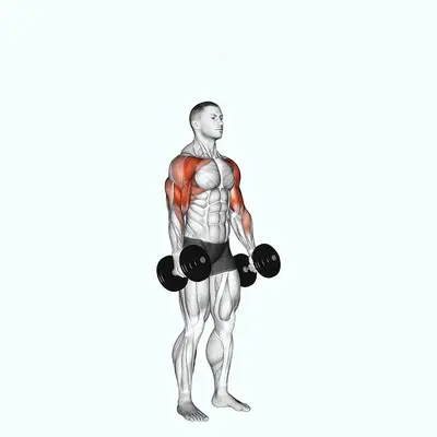 Dumbbell Standing Alternate Hammer Curl and Press exercise targeting Biceps Brachii and Brachialis
