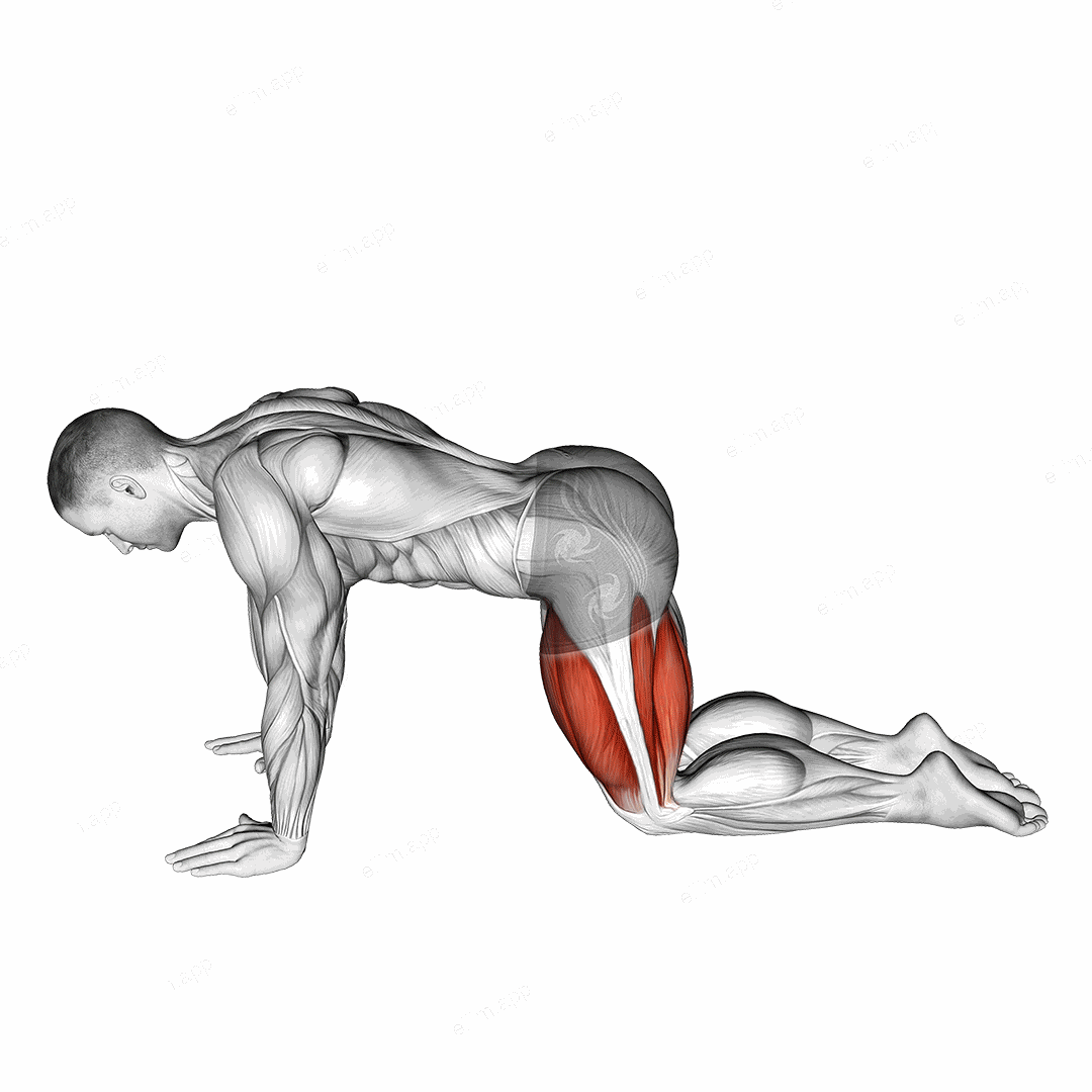 All Fours Squad Stretch exercise targeting Thighs