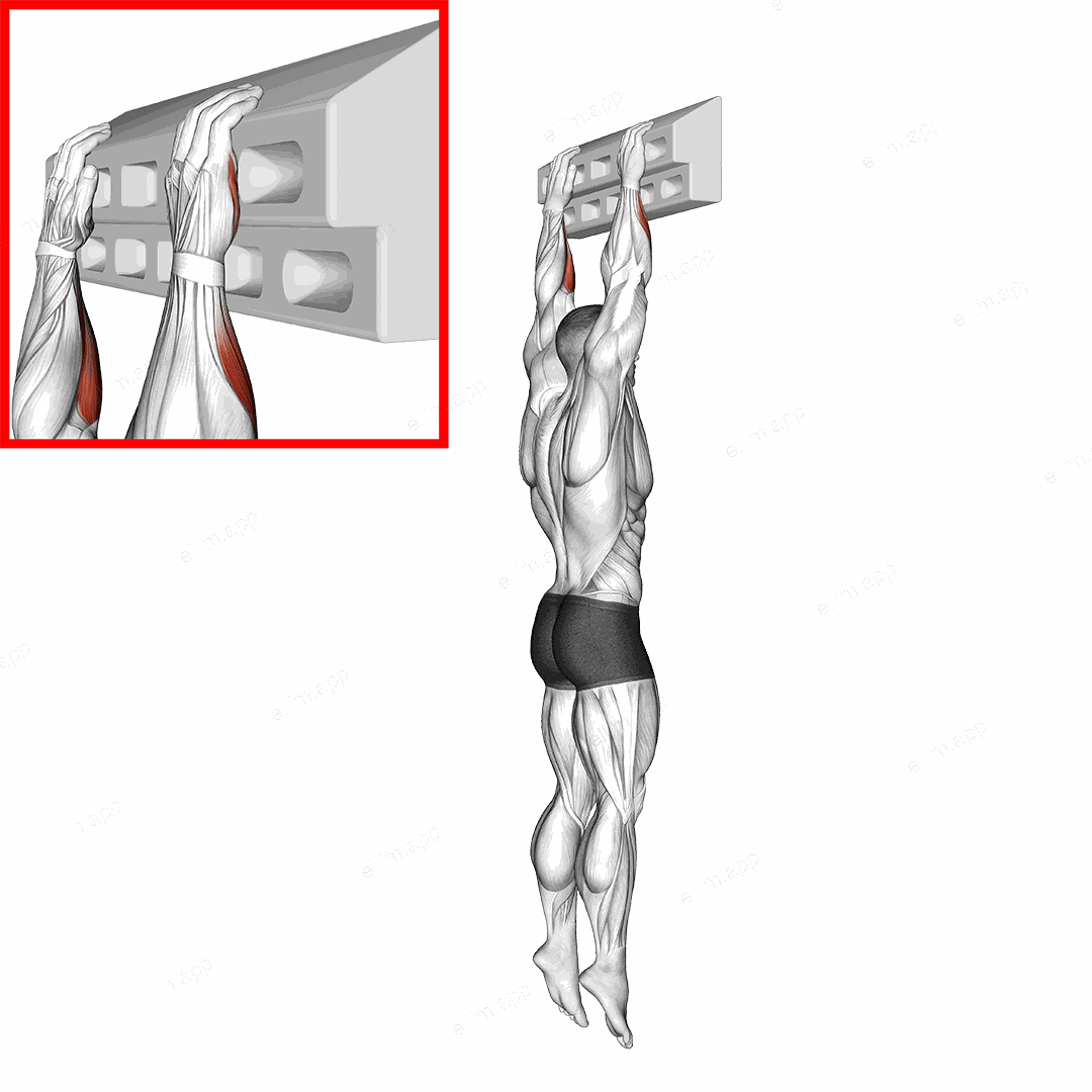 Handboard Slope Hang exercise targeting Forearms