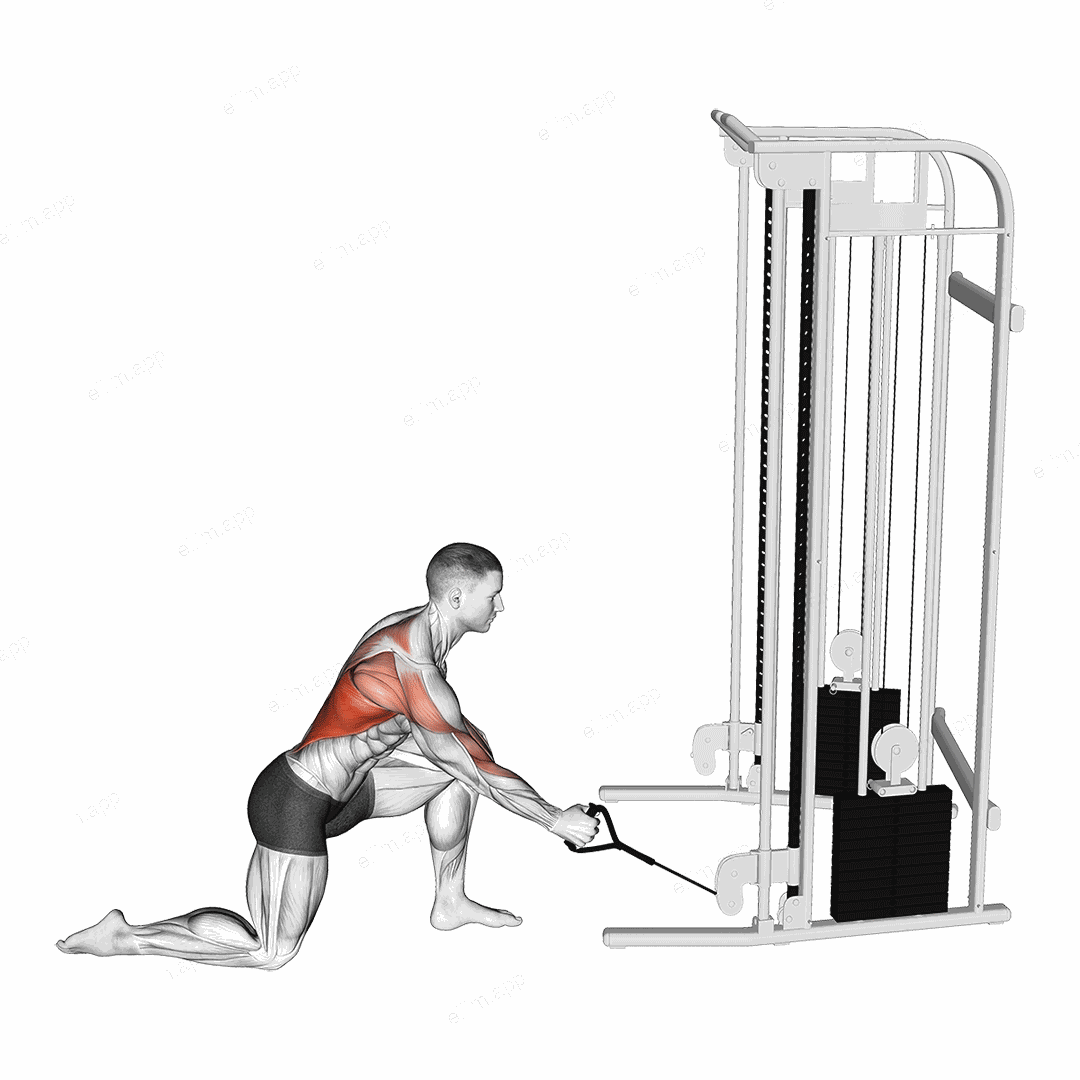Cable Kneeling Leaning Forward One Arm Row exercise targeting Back
