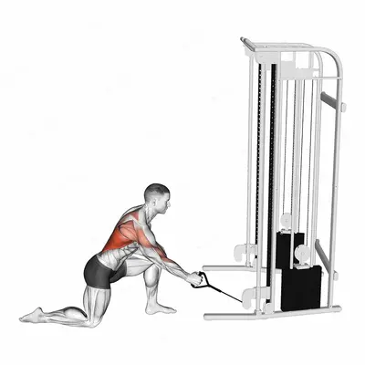 Cable Kneeling Leaning Forward One Arm Row exercise targeting Back