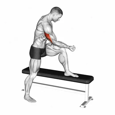 Tiger Tail Tricep exercise targeting Upper Arms