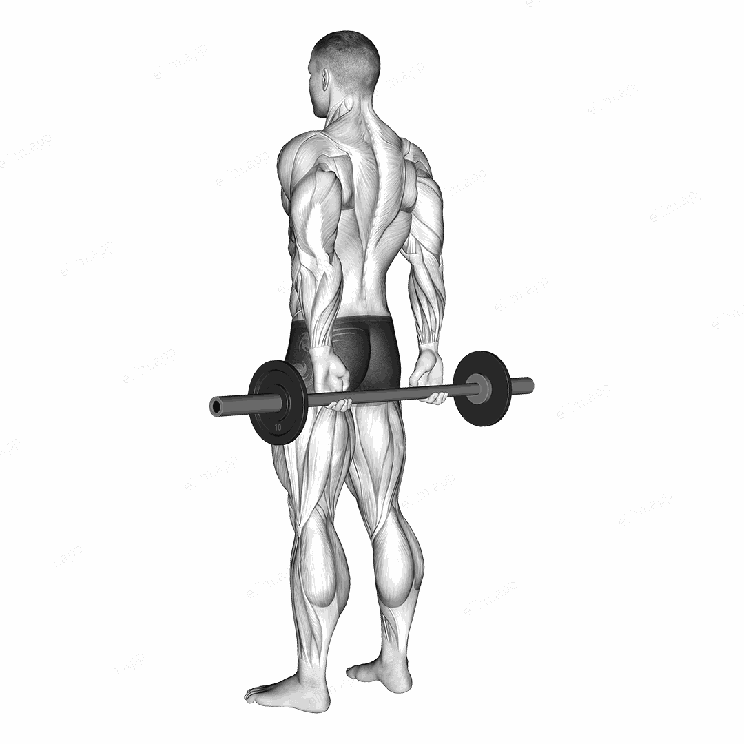 Barbell Behind Back Finger Curl exercise targeting Forearms