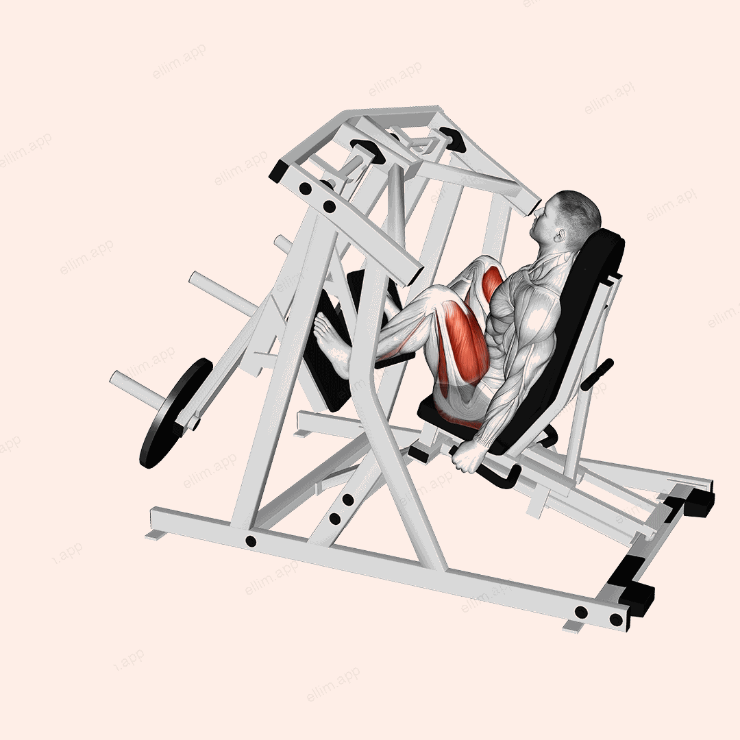 Lever Alternate Leg Press (plate loaded) exercise targeting Hips and Thighs