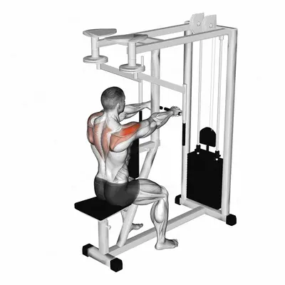 Lever Seated Reverse Fly exercise targeting Shoulders and Deltoid Posterior
