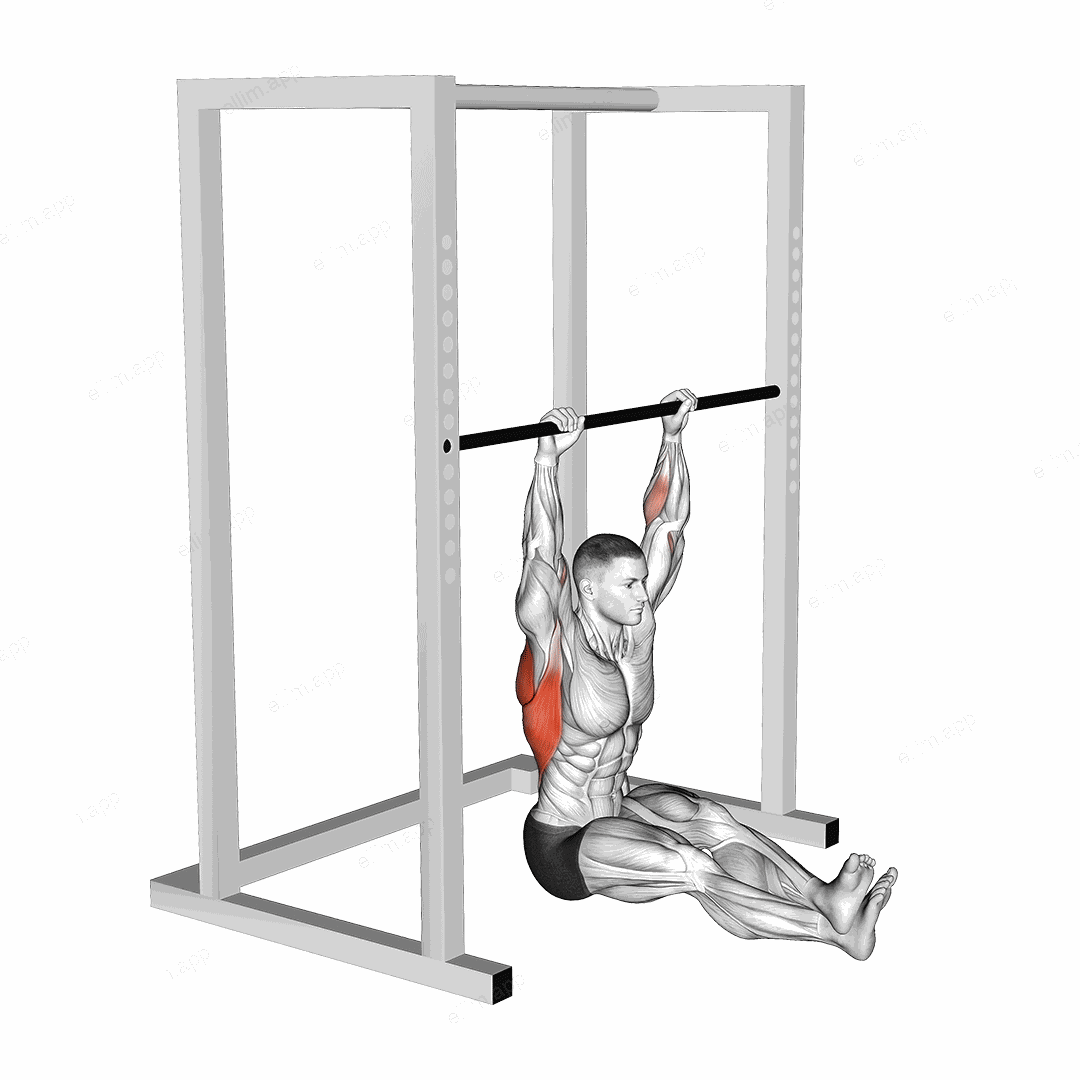 Seated Pull up exercise targeting Back