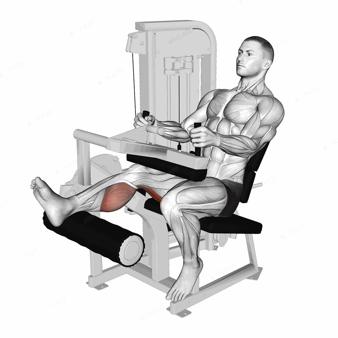 Lever Seated One Leg Curl exercise targeting Thighs and Hamstrings