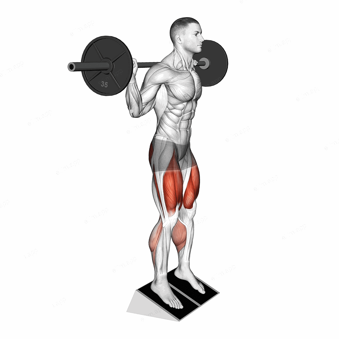 Barbell Elevated Heel Squat exercise targeting Thighs