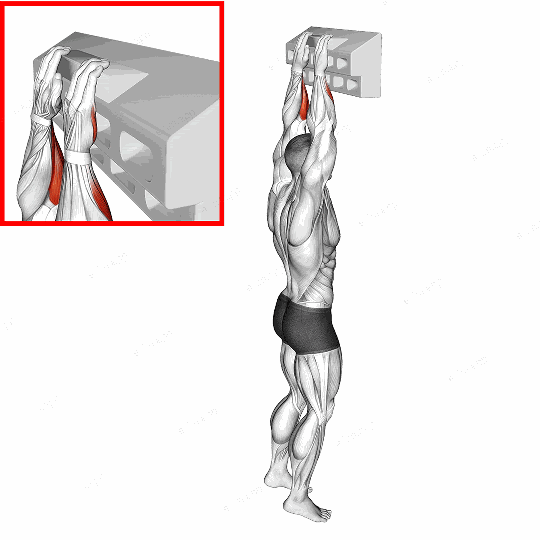 Handboard Open Hand Grip exercise targeting Forearms and Wrist Flexors