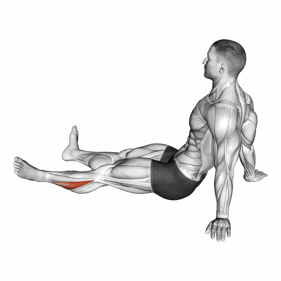 Feet and Ankles Rotation Stretch exercise targeting Calves and Soleus