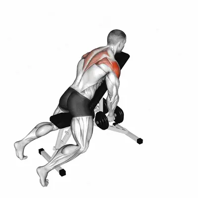 Dumbbell Chest Supported Lateral Raises exercise targeting Shoulders and Deltoid Posterior