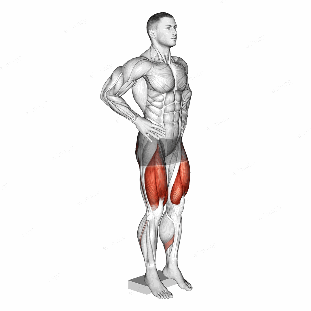 Narrow Squat from Deficit exercise targeting Gluteus Maximus and Quadriceps