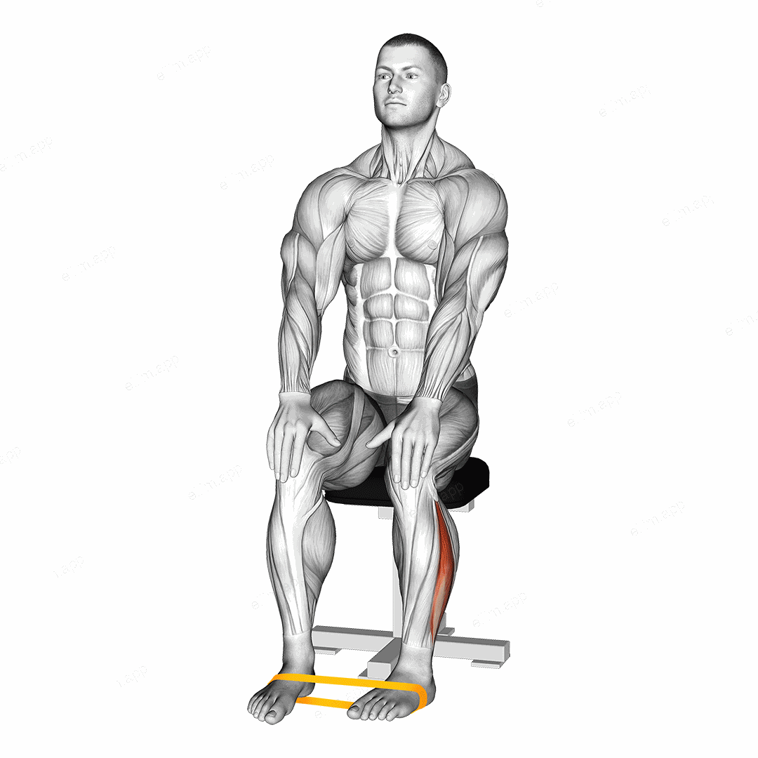 Resistance Band Foot External Rotation exercise targeting Calves