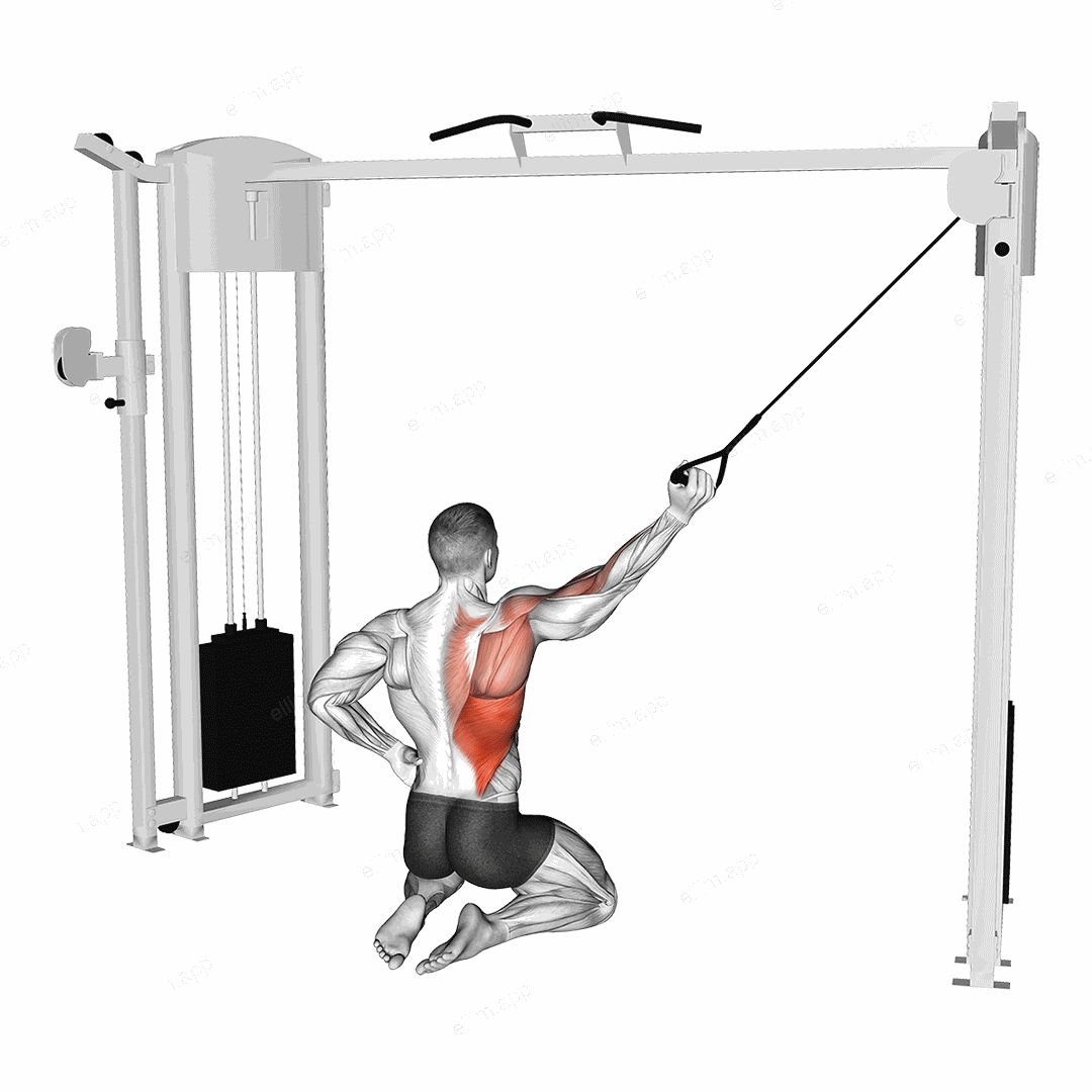 Cable Kneeling Single Lat Pulldown exercise targeting Back