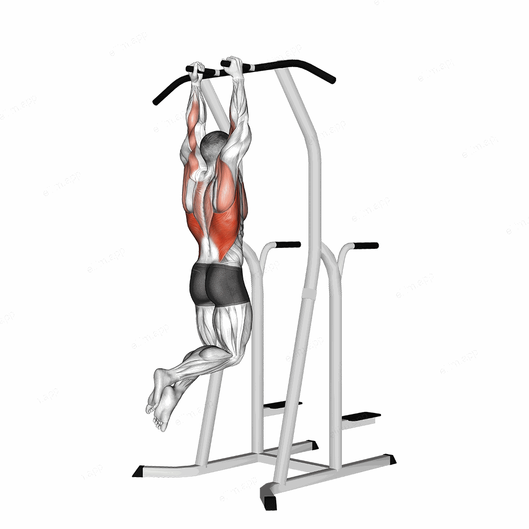 Hammer Grip Pull up on Dip Cage exercise targeting Back