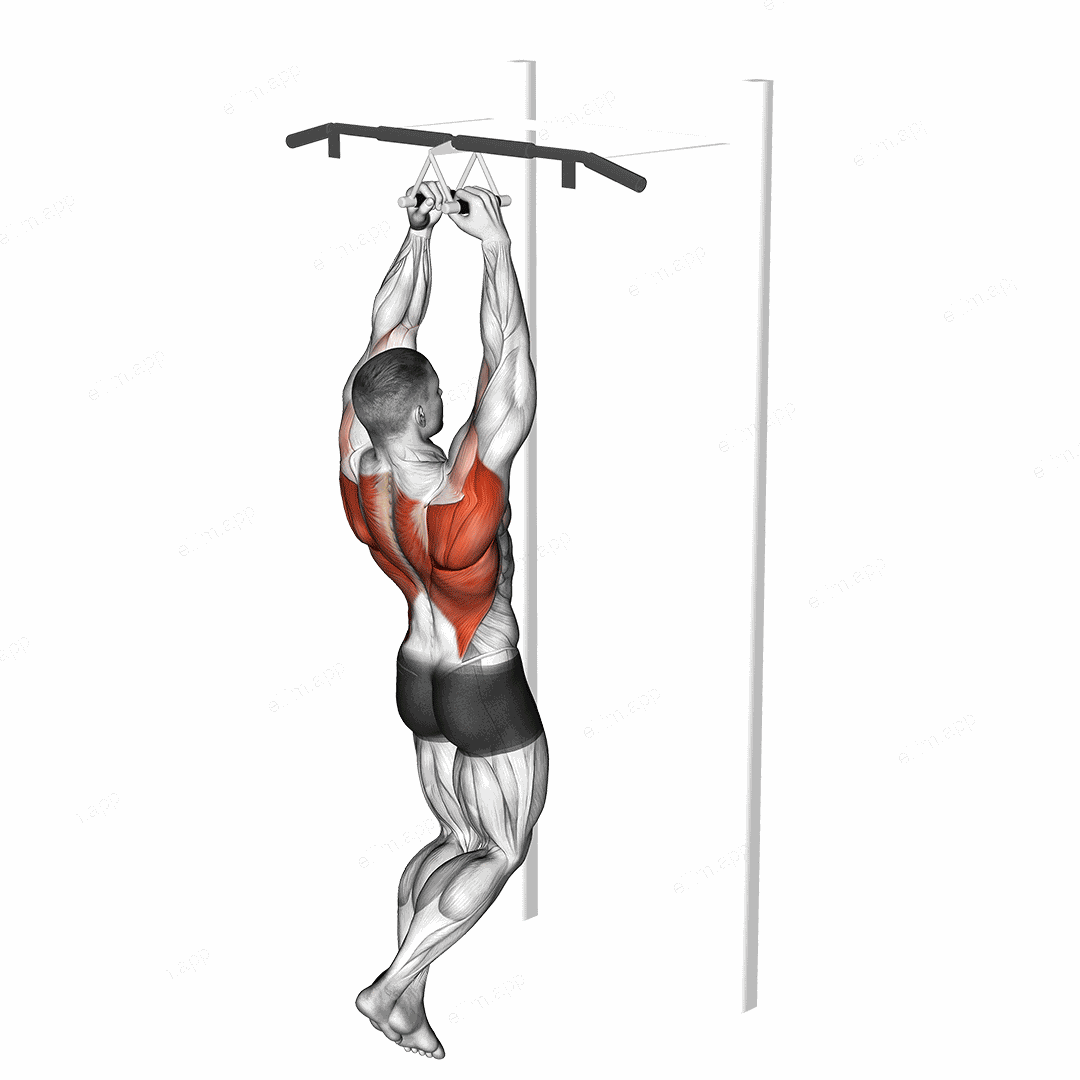 Chin ups (narrow parallel grip) exercise targeting Back