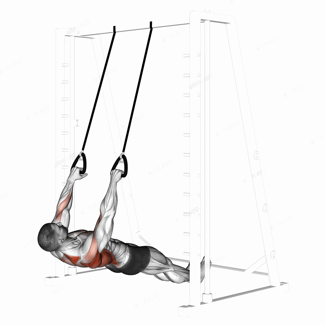 Inverted Row with Straps exercise targeting Back and Infraspinatus