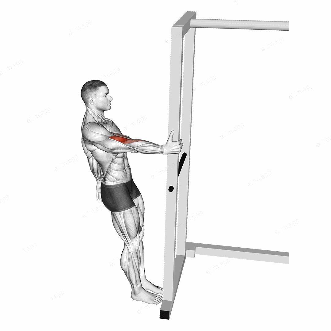 Bodyweight Standing Biceps Curl exercise targeting Upper Arms