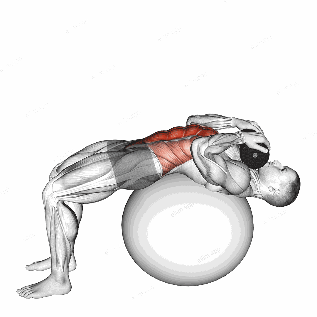 Weighted Stability Ball Crunch (Full range) exercise targeting Waist and Rectus Abdominis