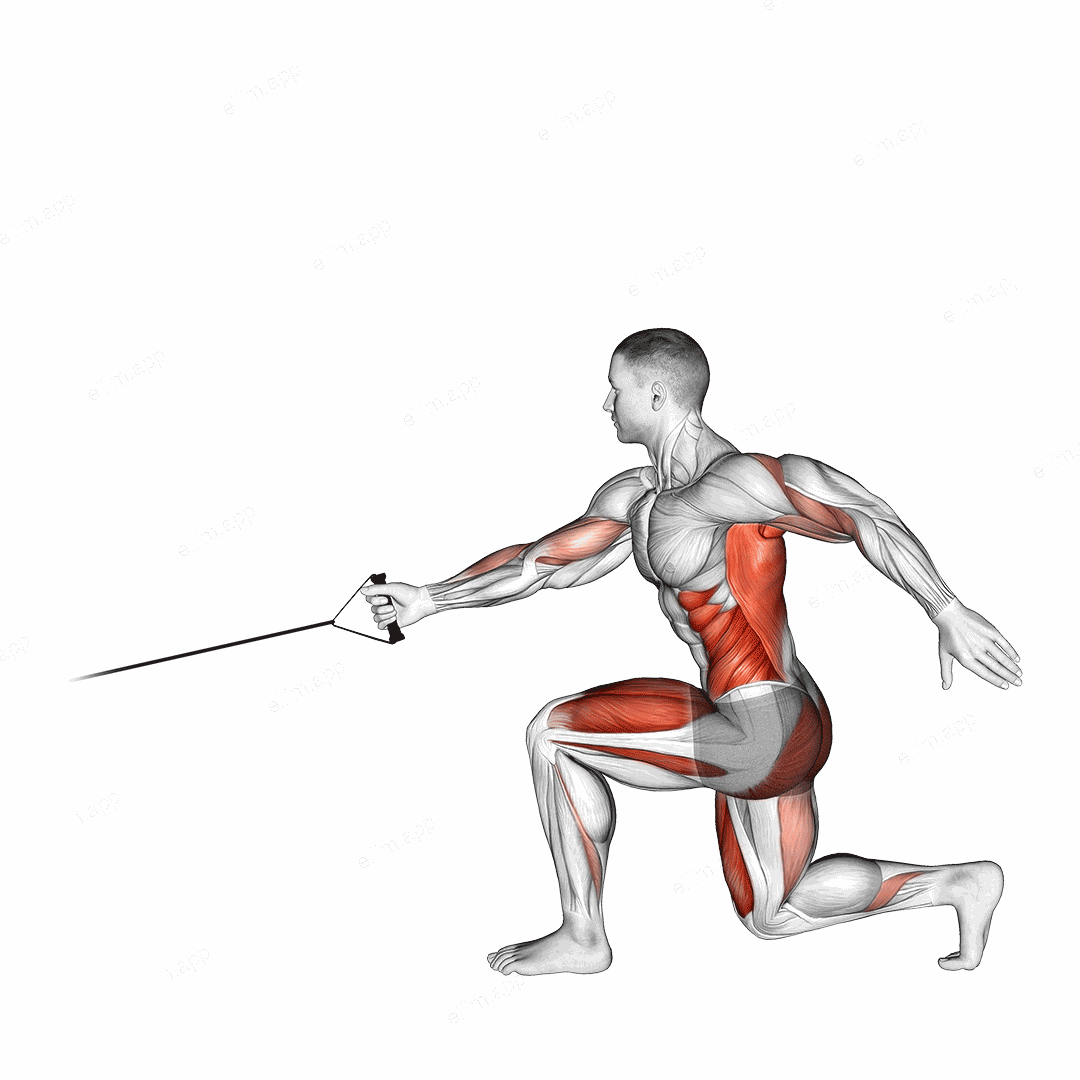 Band Jump Lunge with Single Arm Row exercise targeting Back and Hips