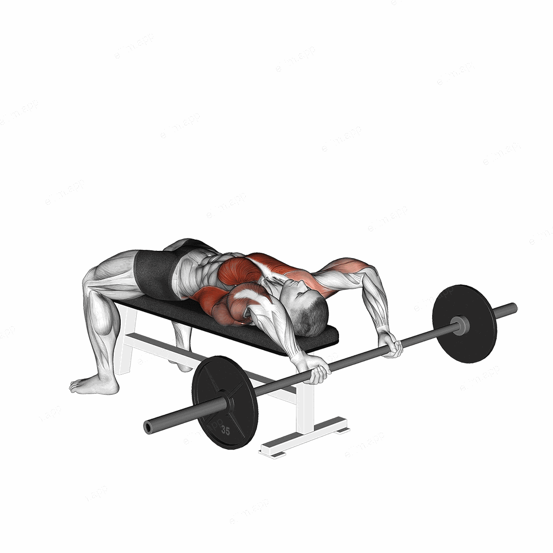 Barbell Pullover To Press exercise targeting Back and Latissimus Dorsi