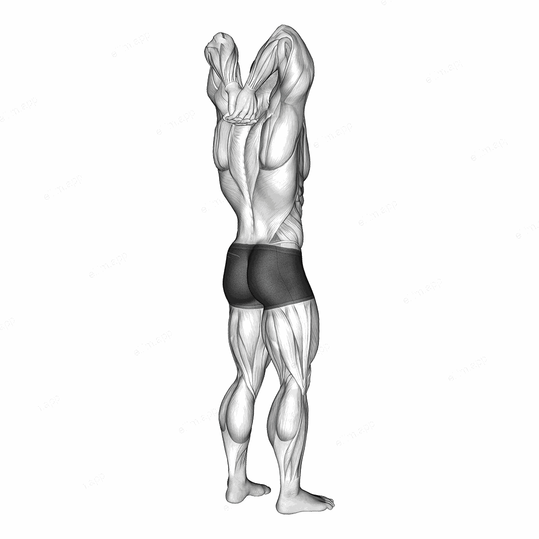 Reaching Down Triceps Stretch exercise targeting Upper Arms
