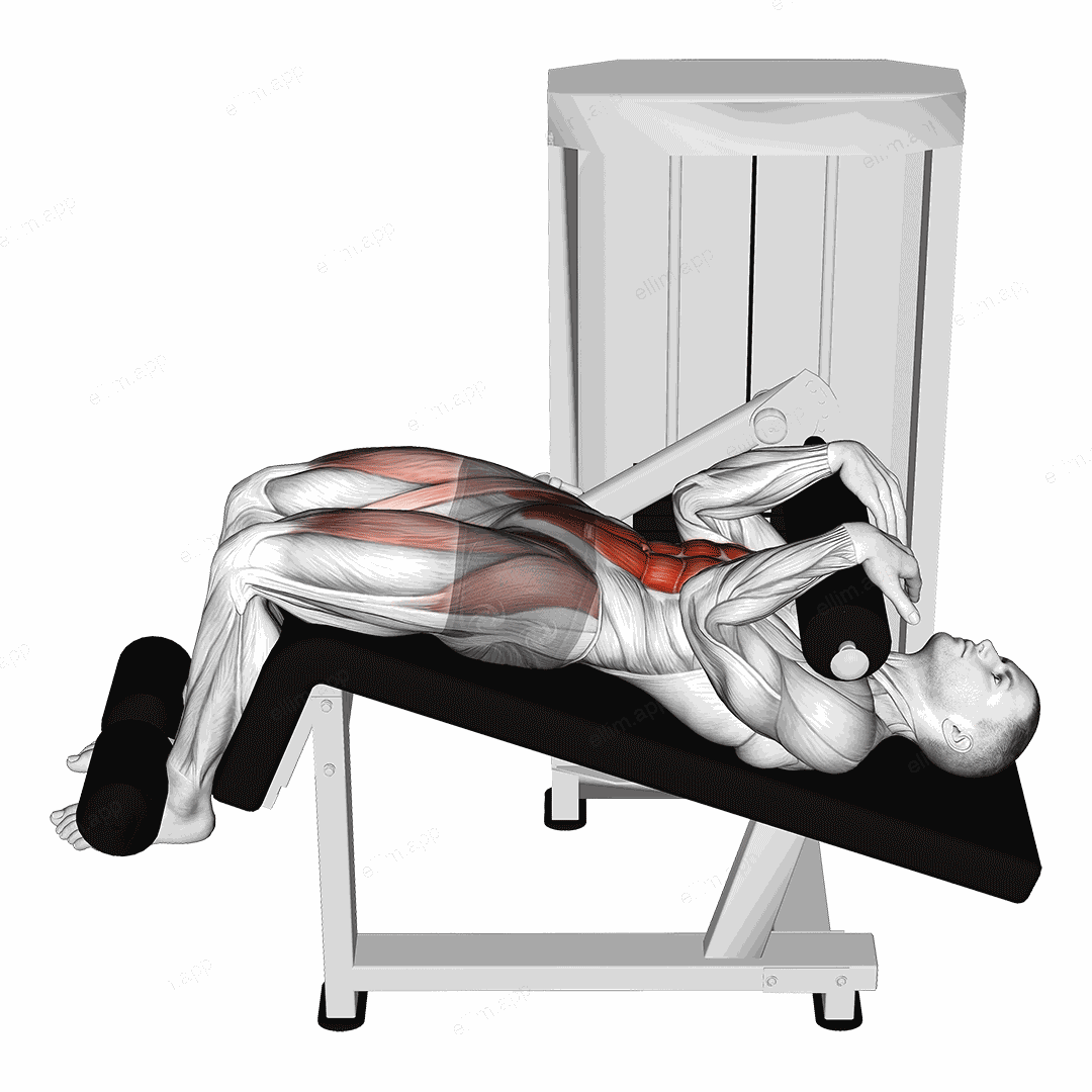 Lever Decline Sit up exercise targeting Waist