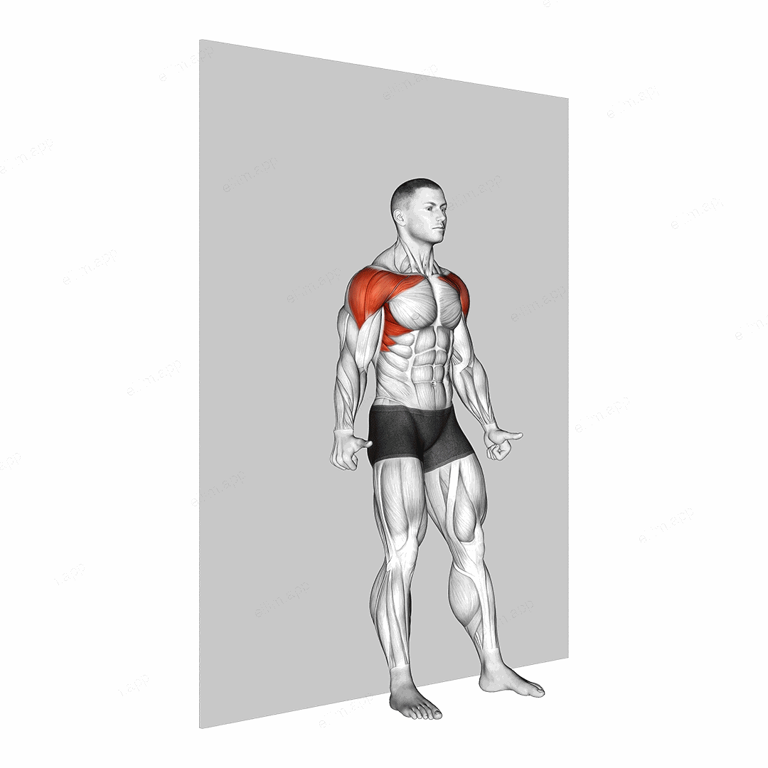 Alternate Shoulder Flexion Back to Wall exercise targeting Shoulders