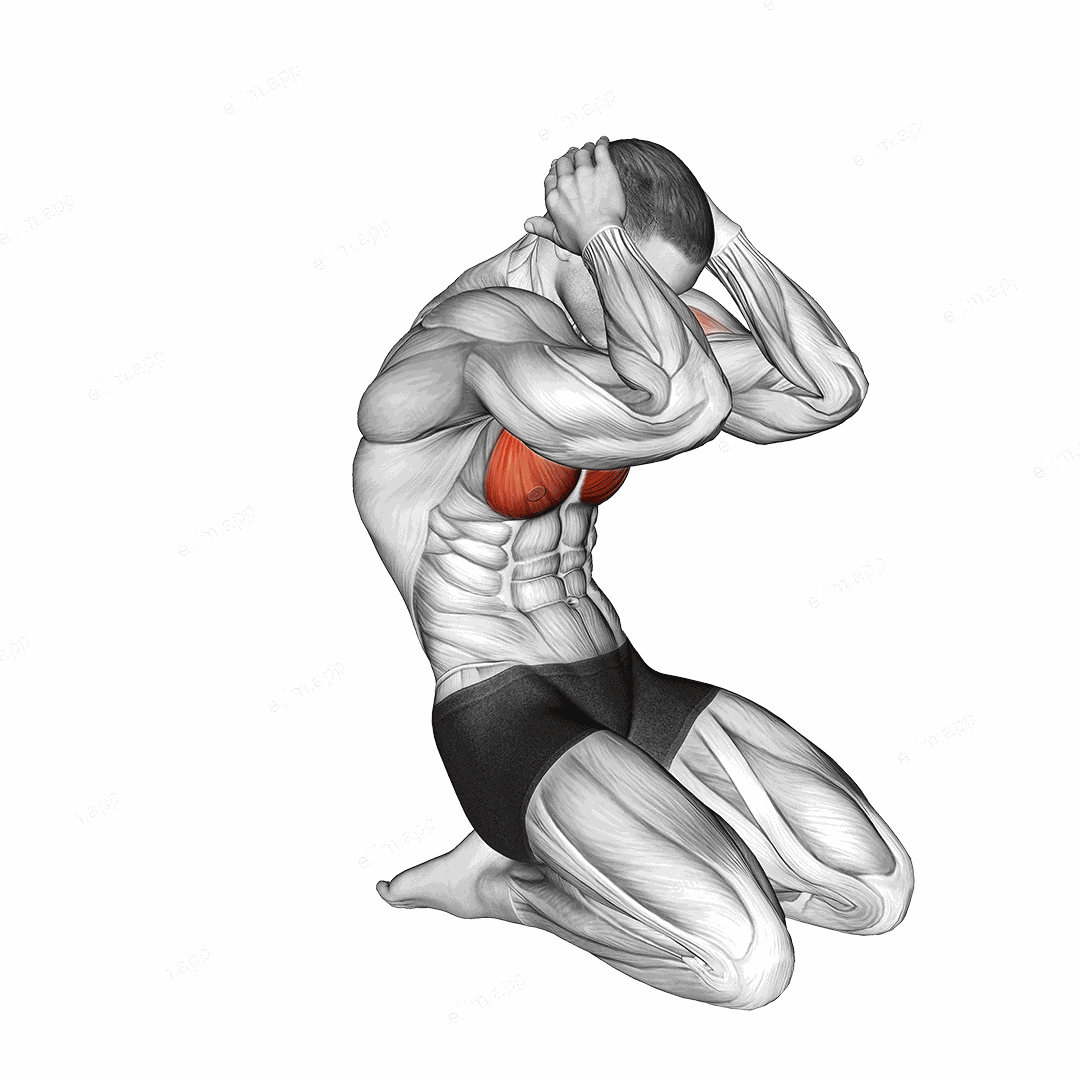 Seated Chest Clam exercise targeting Chest and Deltoid Anterior
