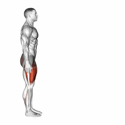 Bodyweight Forward Lunge (Smaller Stance Upright Torso) exercise targeting Thighs and Quadriceps