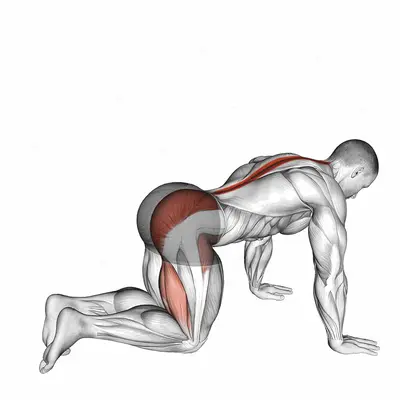 Bent Knee Back to Side Kick exercise targeting Hips and Erector Spinae