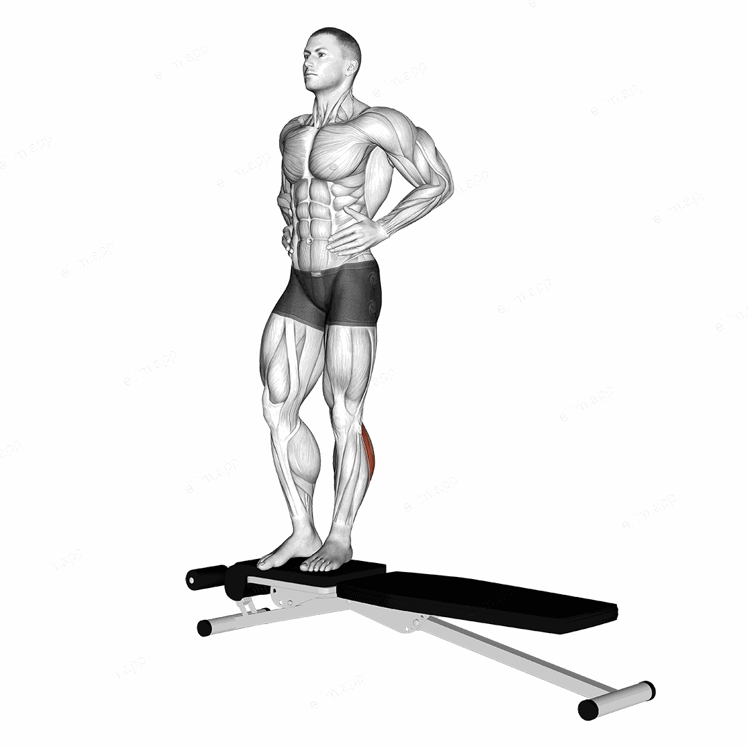 Box Jump Down with 1 Leg Stabilization exercise targeting Calves