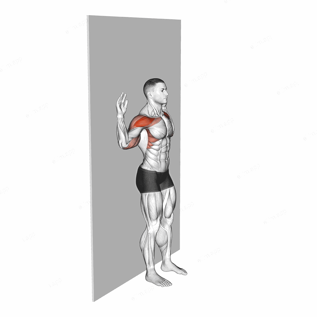 Bodyweight Standing Military Press Wall Supported exercise targeting Shoulders and Deltoid Anterior