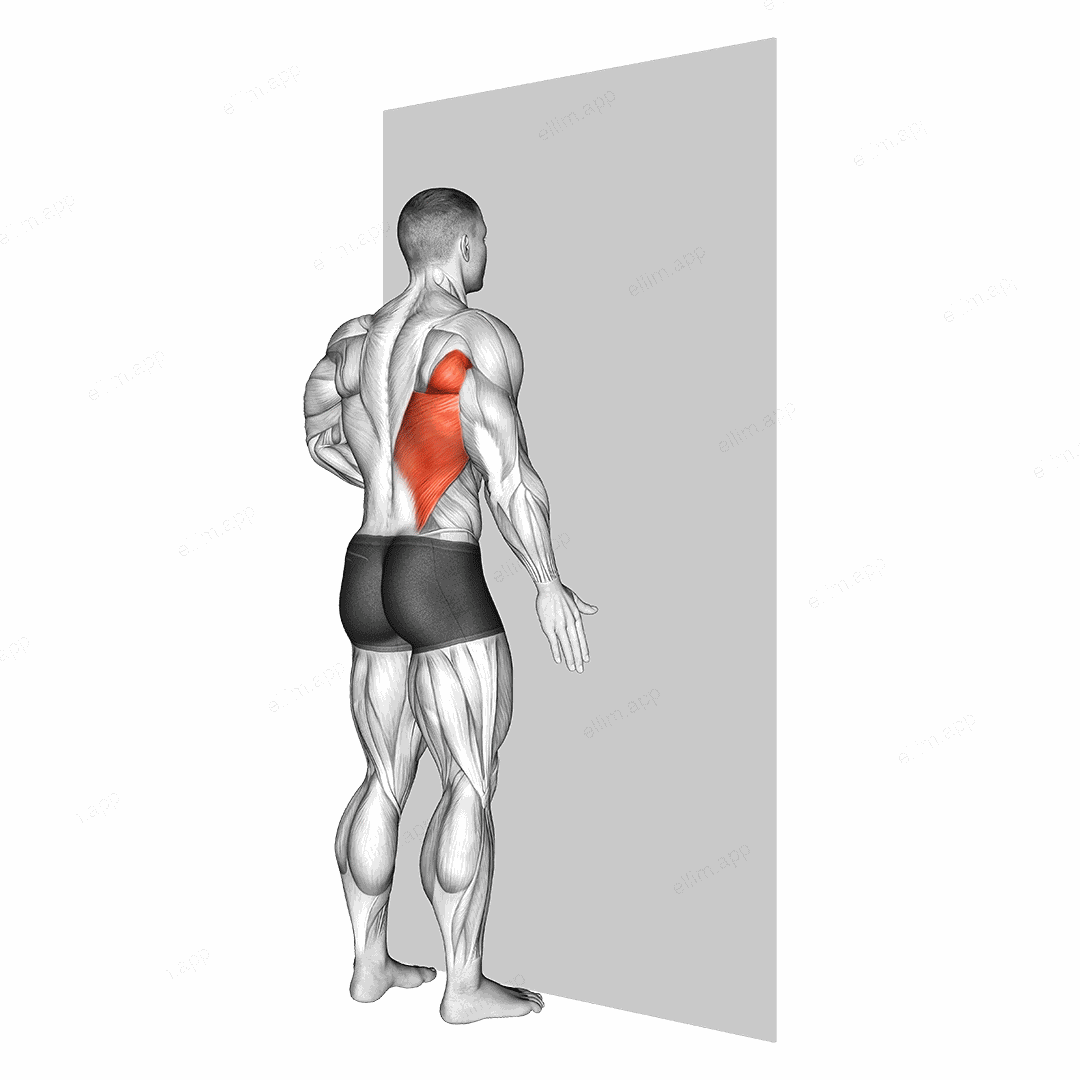 One Arm Against Wall exercise targeting Back and Latissimus Dorsi
