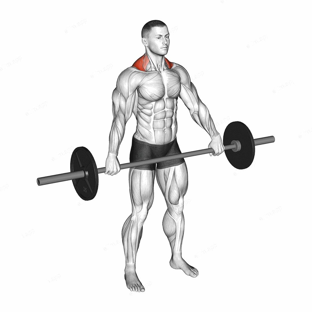 Barbell Standing Snatch Grip Shrug exercise targeting Back