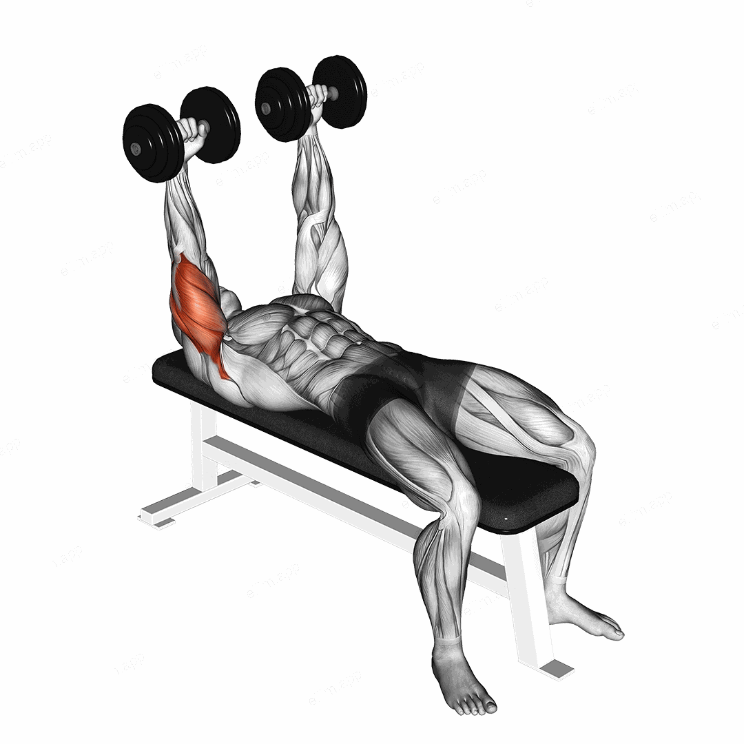 Dumbbell Lying Extension (across face) exercise targeting Upper Arms and Triceps Brachii